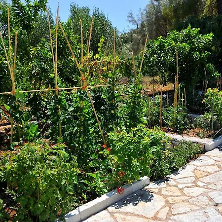 Vliho Bay & Apartament *