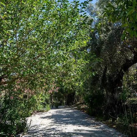 Apartament Vliho Bay & Yénion