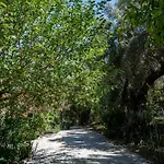 Daire Vliho Bay & Yénion